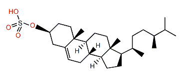 (24S)-24-Methylcholest-5-en-3b-ol 3-sulfate